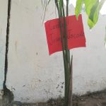 Climate action for peace in the light of “Laudato Si”