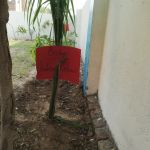 Climate action for peace in the light of ‘Laudato Si’